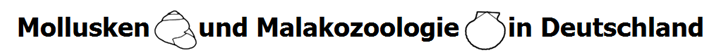 Mollusca.de